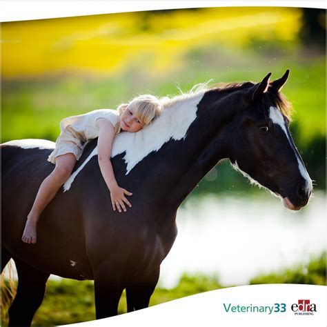 Miniature Horse With Down Syndrome at Minnie Butler blog