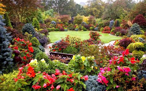 Beautiful Spring Forest 的图像结果