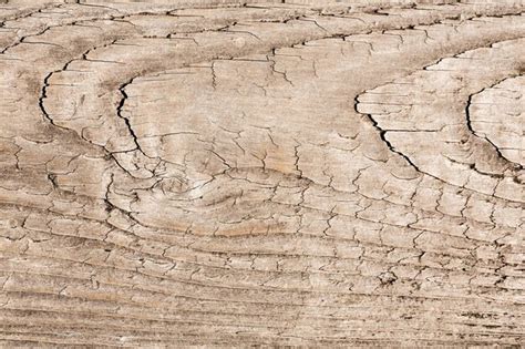 Wood structure background texture | Premium Photo