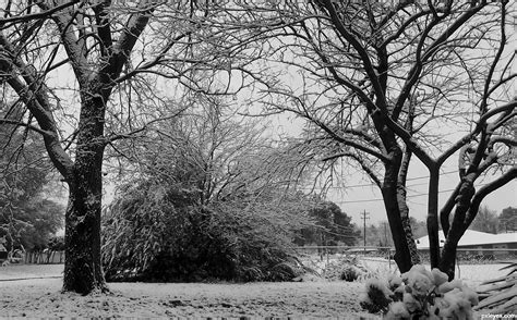 Backyard Photography Contest Pictures - Image Page 2 - Pxleyes.com