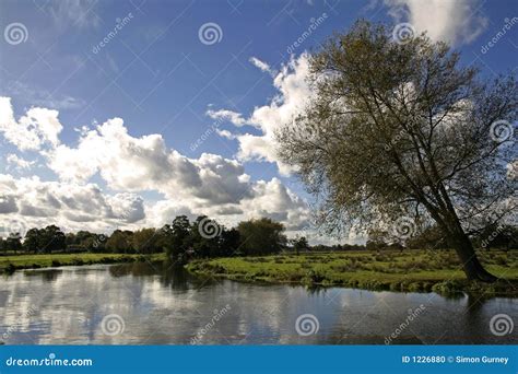 English Meadow River Wey Surrey Countryside Stock Photo - Image of ...