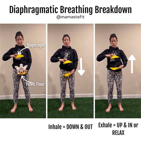 3 Pelvic Floor Relaxation Exercises - MamasteFit