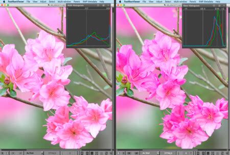 Image result for Fast Raw Viewer Tutorials