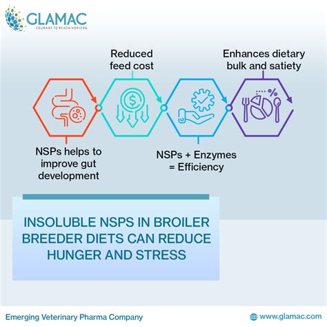 Impact of NSP on poultry Nutrition