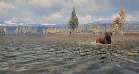 theHunter: Call of the Wild Update 1.80 Runs Out for Companion Patch Content