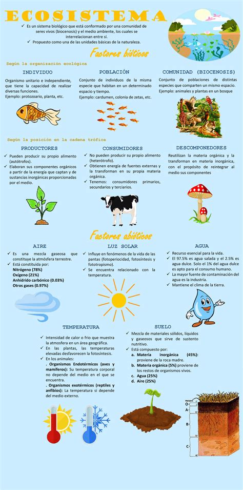 Que Es Un Ecosistema Infografia Tipos De Ecosistemas Naturales