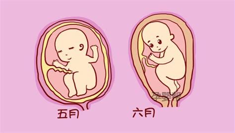 高龄备孕第二个月成功好孕 好孕经验分享-孕前保健-妈妈宝宝网