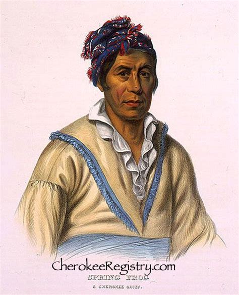 Native Cherokee 的图像结果