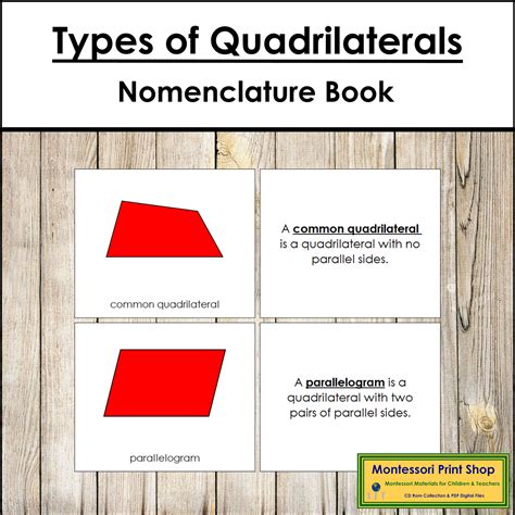 Quadrilateral Examples Quadrilateral Classification Chart Free