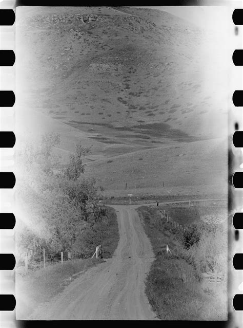 Library Perspective View 的图像结果