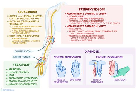Pincer Grasp Test For Median Nerve at Arnetta Parker blog