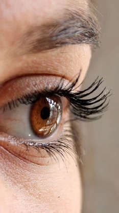 World Tuna Day 2025: Health Benefits Of Eating Tuna Fish