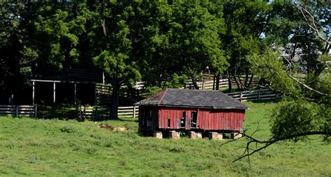 I know why barns are red | THREW Mikes EyEz