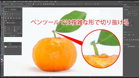 Alien Sight に対する画像結果