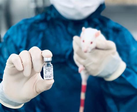 都是腺病毒载体新冠疫苗 为什么中国首款只需打一针英俄却要两针|中国_新浪财经_新浪网
