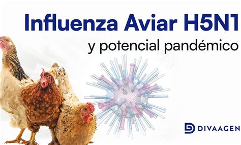 Pólipo nasal: síntomas, causas, tratamiento y cirugía - Todo lo que necesitas saber