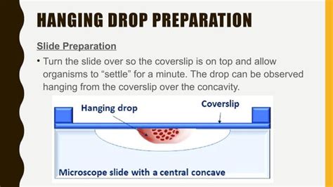Image result for Case Study Examples File