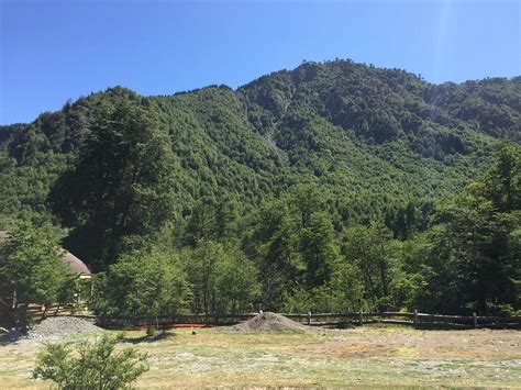 WENU MAPU (Malalcahuello) - Cottage Reviews, Photos, Rate Comparison ...