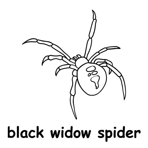 kids line illustration coloring black widow spider. animal outline ...