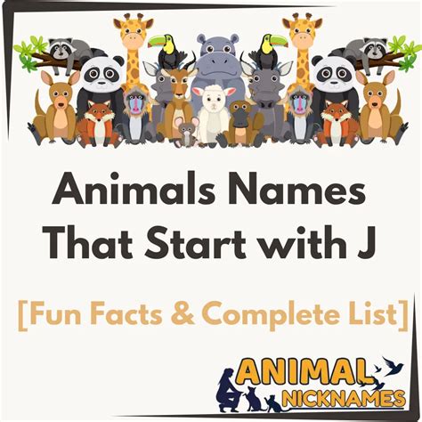 Animals Names That Start with R [Fun Facts & Complete List] – Animal ...