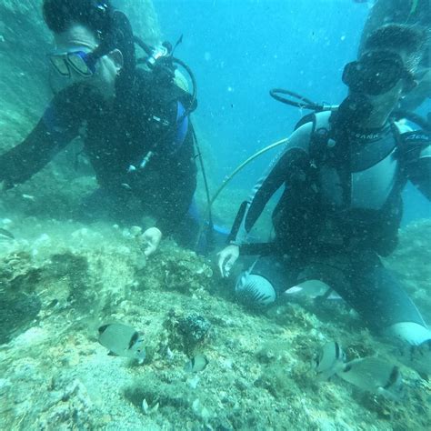 IDA DALIS MERKEZI (2025) All You Need to Know BEFORE You Go (with ...