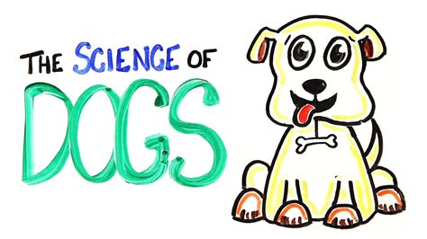 Dogs for 1st Graders Science 的图像结果