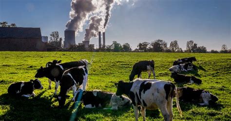 COP26: What Is Net Zero Emissions Pledged By Many Countries Including India