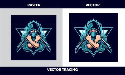 Image result for Vectorize