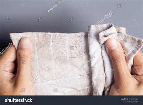 Mildew On Clothes