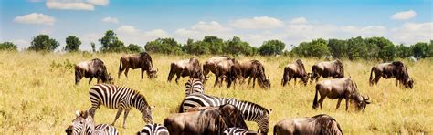 Kenya Weather in August 2025: Travel Tips for First-Timers