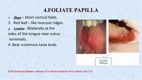 ROLE OF TONGUE IN DEVELOPMENT OF MALOCCLUSION | PPTX