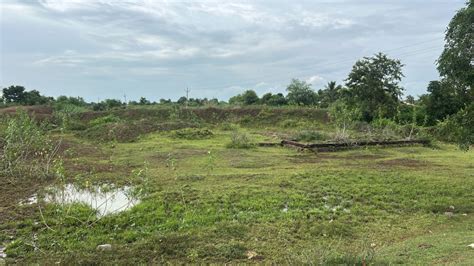 Agricultural/Farm Land for Sale in Kharora, Raipur - by CG Propmart
