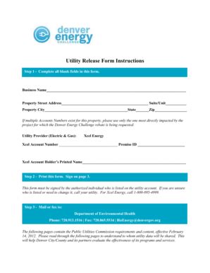 Denver Energy Challenge Consent Form - Blank Fillable Template | Fill ...