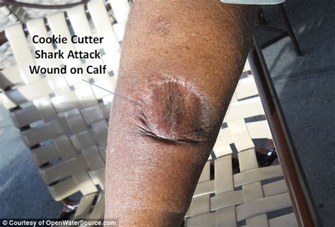 Image result for Human Body Fun Facts