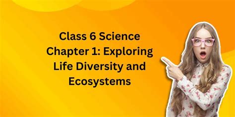 Science Class 6 1 Lesson Answer 的图像结果