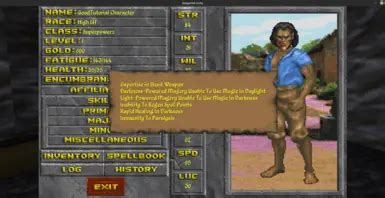 Image result for Daggerfall Unity Character Sheet