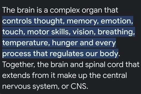 explain the structure and function of human brain. class 10 - Brainly.in