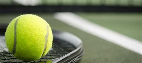 Lotus Arena II | Residential Projects in Sports City Noida