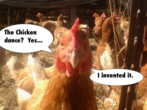 HowToBasic Chicken Parody 的图像结果