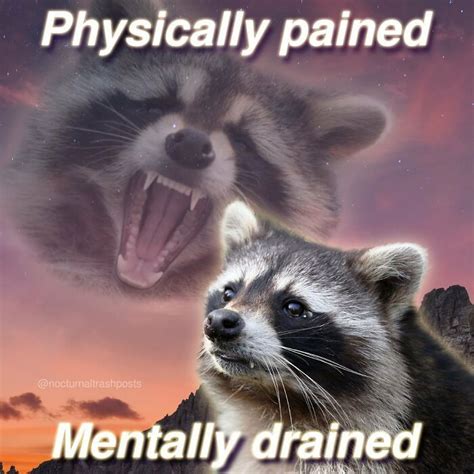 dancing raccoon meme