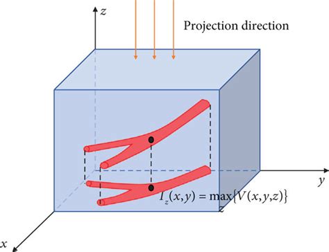 Image result for Maximum Intensity Projection Python