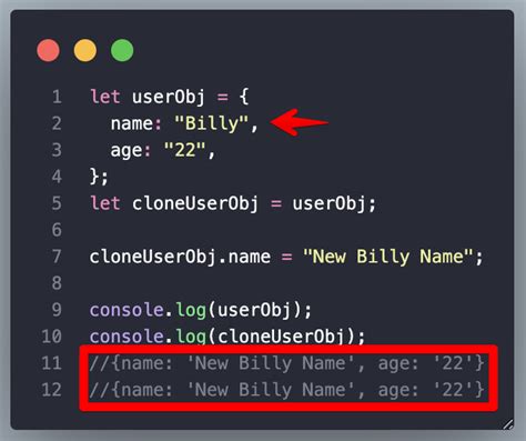 Image result for Copy within Method in JavaScript