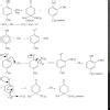 In the following reaction, the product (s) formed is/are - Brainly.in