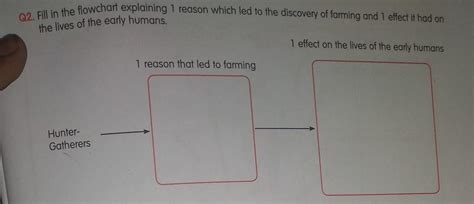 1 effect on the lives of the early humans1 reason that led to ...