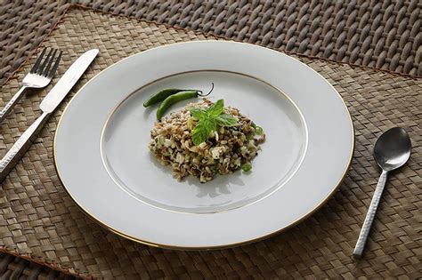 16226 GL - 33 PC. DINNER SET (RIM SHAPE) – Hitkari Potteries