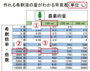 Image result for How Does Forex Algorithm Works