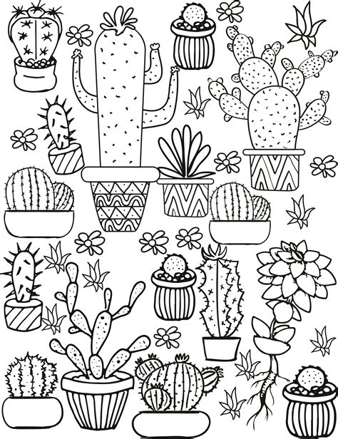 Cactus and Succulent Printable Adult Coloring Pages