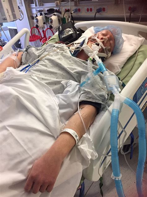 Six months ago today, R/Place ended : r/bluey