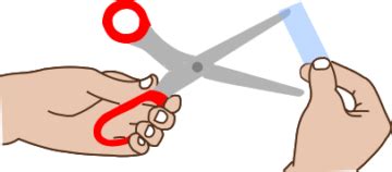 Image result for DIY PVC Pop Gun