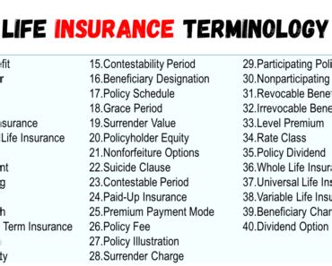 Image result for Life Insurance Terminology For Dummies
